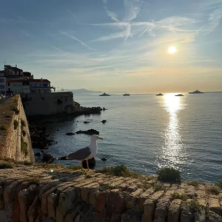 Apartment Renove Au Coeur Du Vieil Antibes